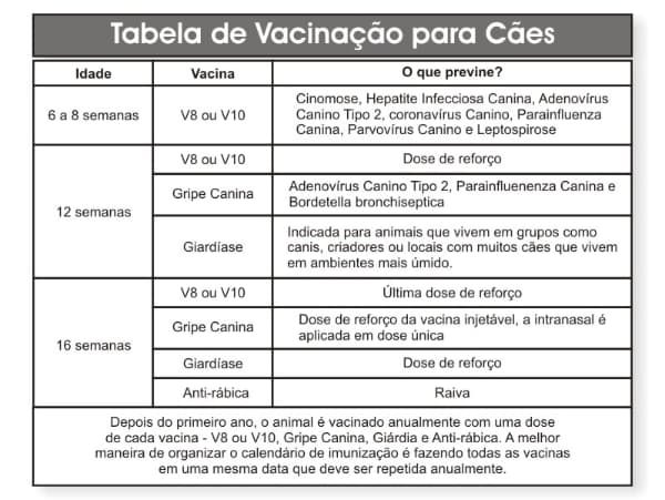 tabela de vacinas para caes